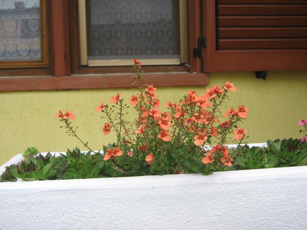 Apartment Meridiana Rovinj Exterior foto